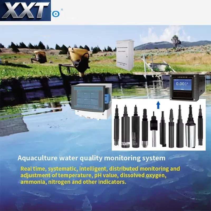 XXT 디지털 수질 측정기, pH 측정기, ORP 측정 - Ph Meter Digital Water Tester 리뷰 및 가격