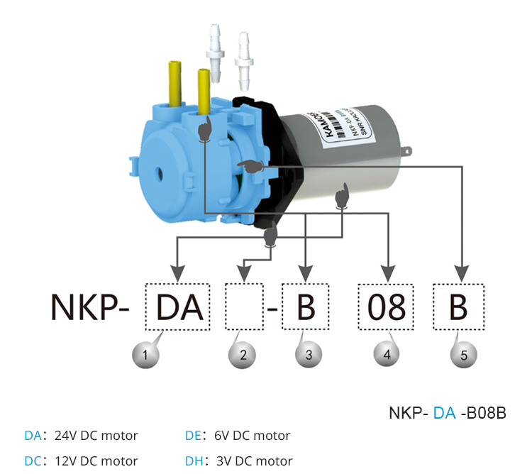 2026년형 NKP 6V 12V 24V DC 모터 컬러 - Mini Peristaltic Pump 12V 리뷰 및 가격