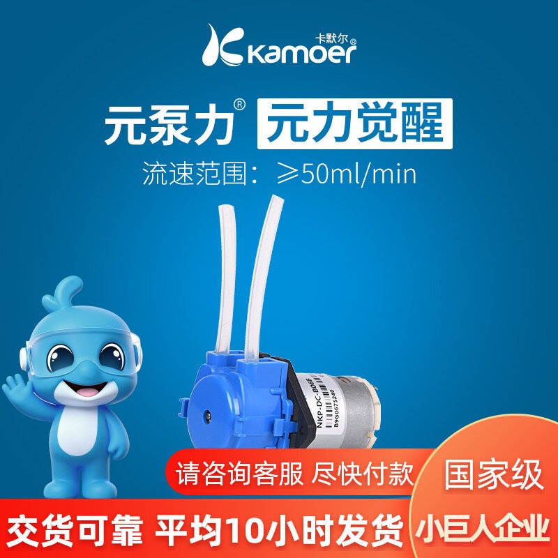 소형 자흡식 전기 DC 순환식 워터 펌프, 12V, 수 - Mini Peristaltic Pump 12V 리뷰 및 가격